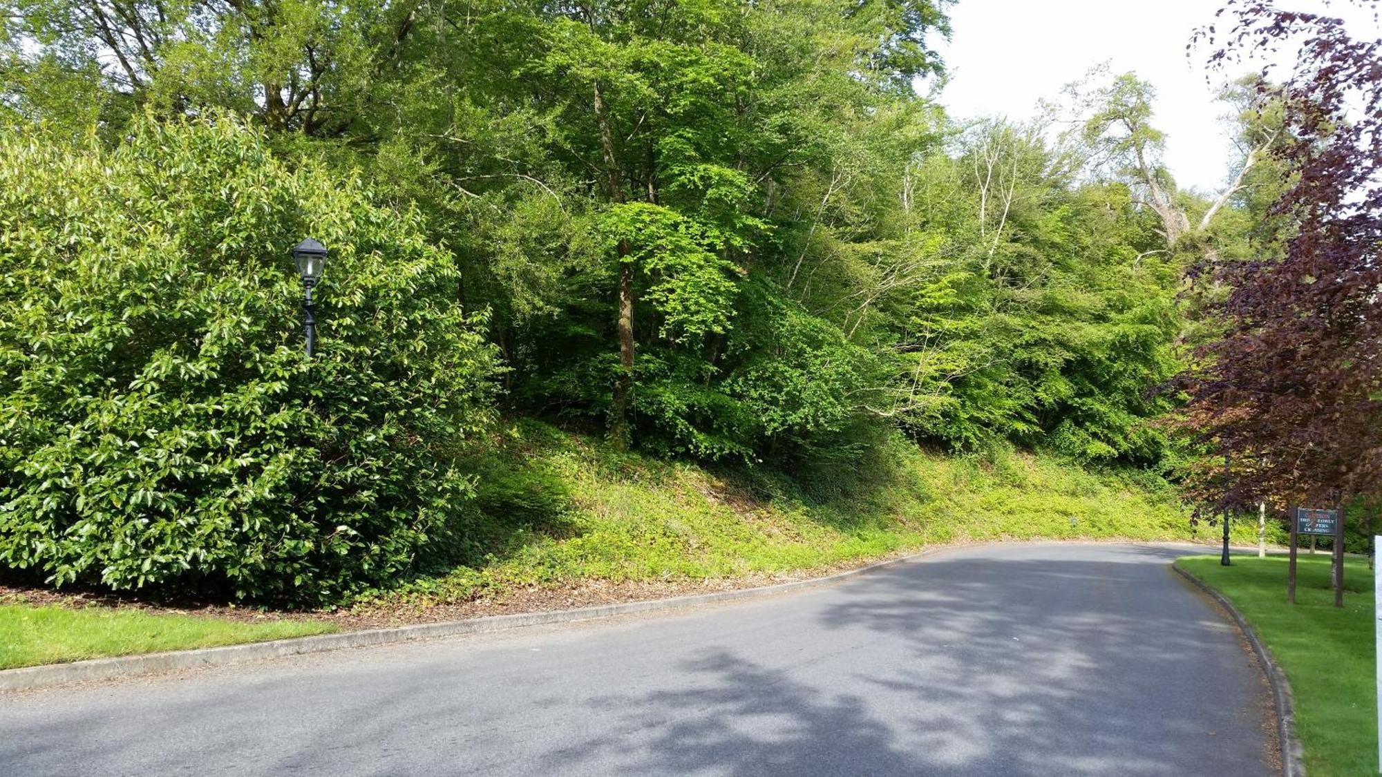 New Forest Estate Lodges Tyrrellspass Bagian luar foto